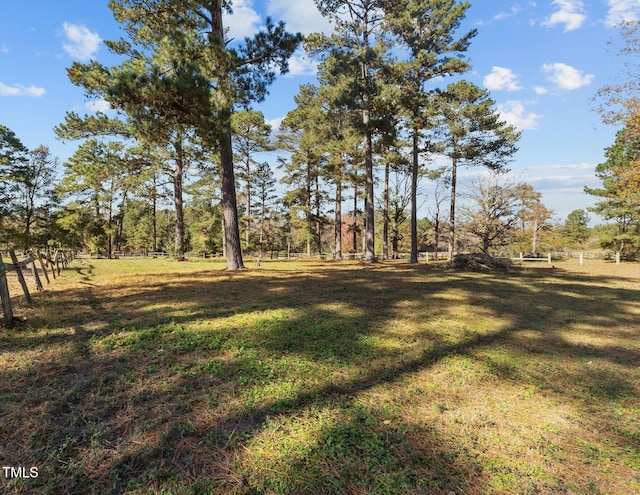 000 Cedar Lane Rd, Sanford, NC 27330 - photo 8