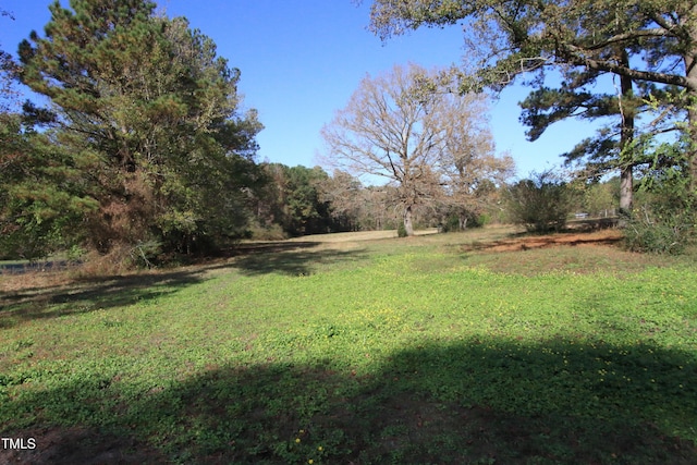 000 Cedar Lane Rd, Sanford, NC 27330 - photo 10