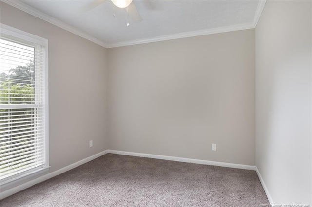 1108 Leslie Dr, Fayetteville, NC 28314 - photo 16