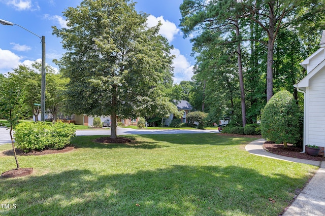 1000 Inglenook Pl, Apex, NC 27502 - photo 46