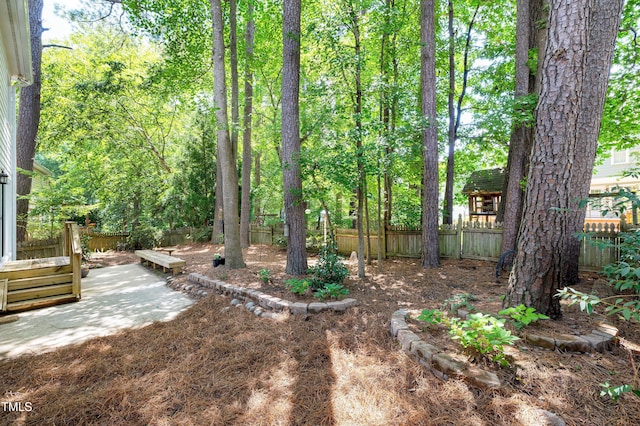 1000 Inglenook Pl, Apex, NC 27502 - photo 48