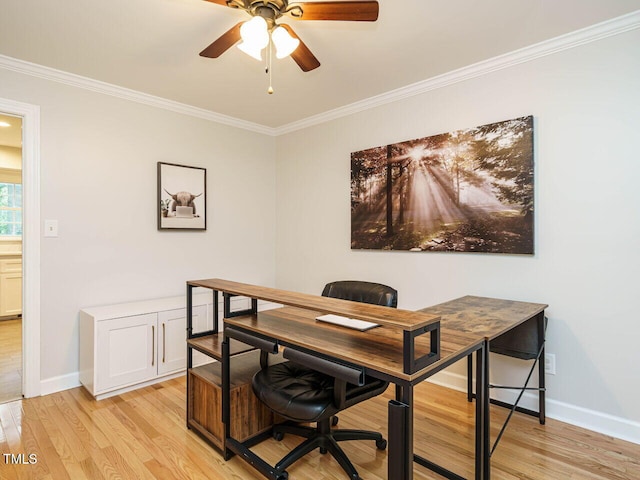 4208 Wingate Dr, Raleigh, NC 27609 - photo 12