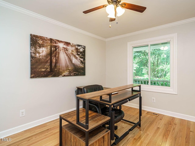 4208 Wingate Dr, Raleigh, NC 27609 - photo 13