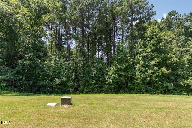 1886 Blue Jay Pt, Apex, NC 27502 - photo 51