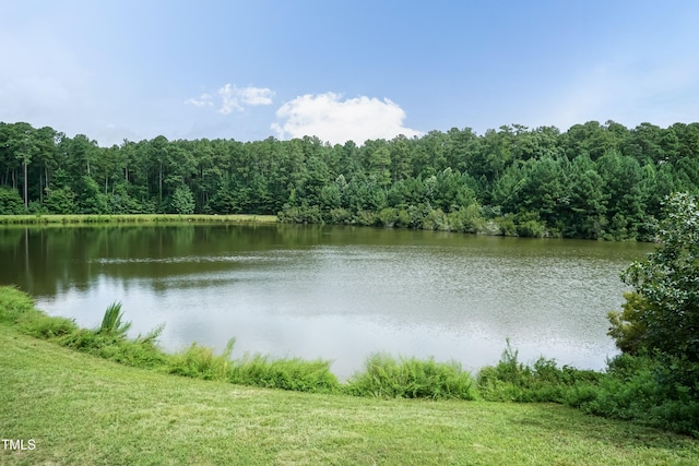 100 Stratford Lakes Dr Unit 150, Durham, NC 27713 - photo 24