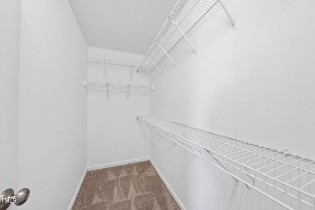 59 E Marlin Ln, Coats, NC 27521 - photo 14