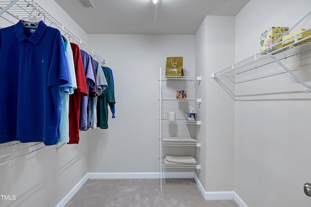 102 Whitlock Ln, Cary, NC 27513 - spacious closet featuring carpet