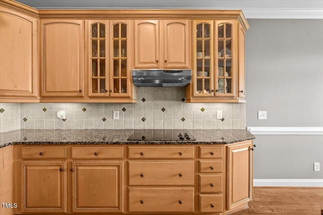 2011 Gibsonville Ossipee Rd, Elon, NC 27244 - kitchen with under cabinet range hood, black electric cooktop, dark stone counters, and glass insert cabinets