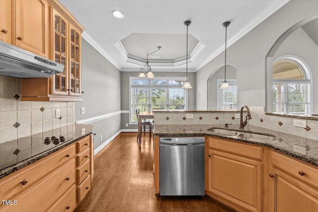 2011 Gibsonville Ossipee Rd, Elon, NC 27244 - kitchen featuring stainless steel dishwasher, black electric cooktop, dark wood-style flooring, ventilation hood, and a tray ceiling