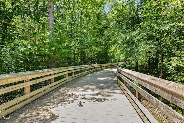 2824 Lanasa Ln, Apex, NC 27523 - photo 47