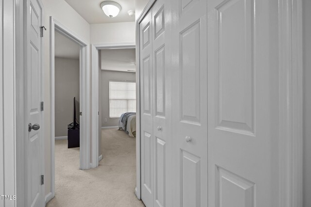 7002 Racine Way, Raleigh, NC 27615 - photo 28