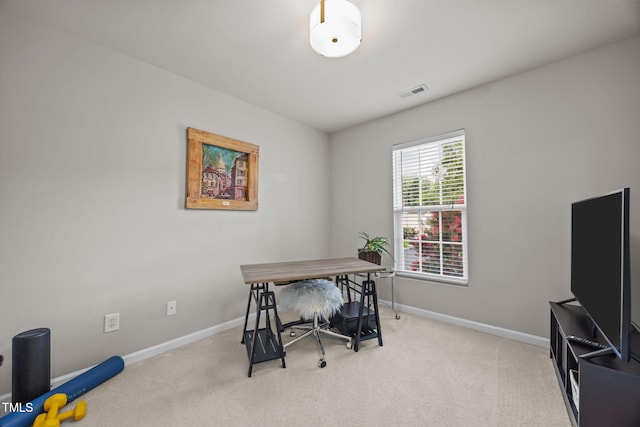 7002 Racine Way, Raleigh, NC 27615 - photo 31