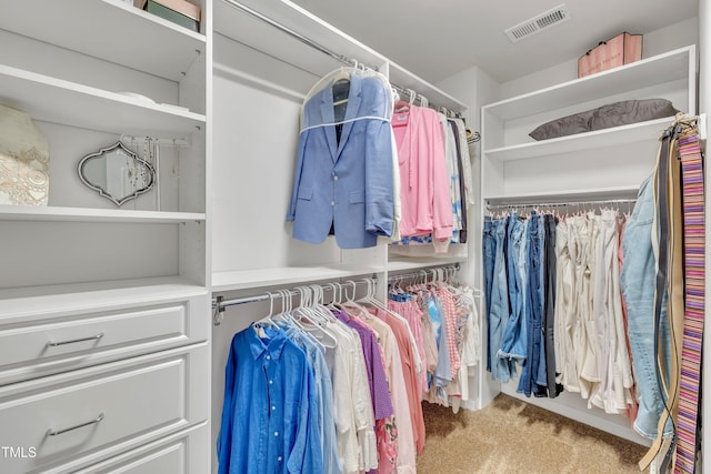 110 Gilder Woods Dr, Garner, NC 27529 - spacious closet with carpet