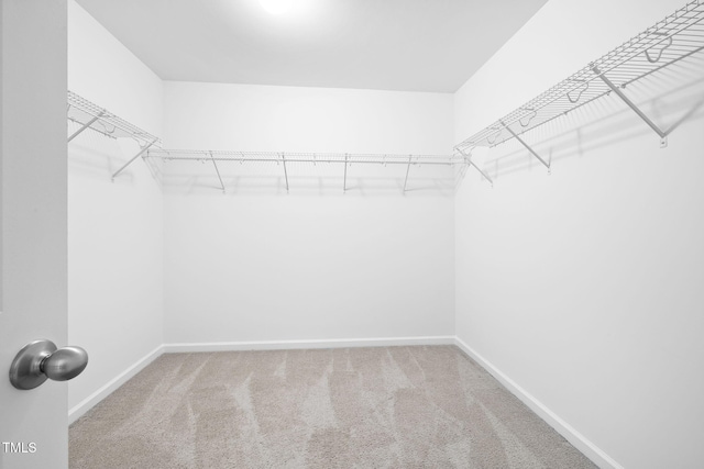 3620 Waleback Ln, Raleigh, NC 27610 - photo 29
