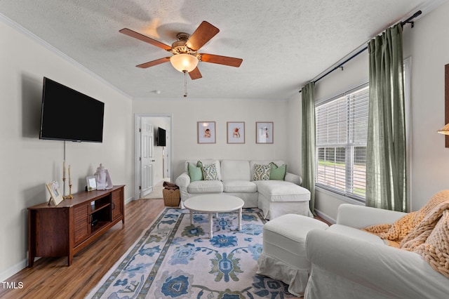 1395 Vaiden Rd, Louisburg, NC 27549 - photo 4