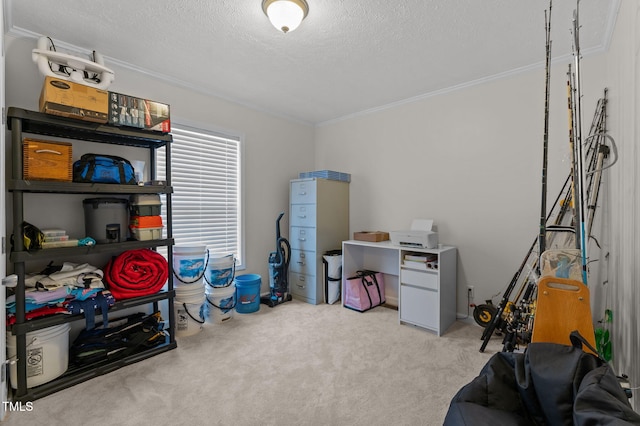 1395 Vaiden Rd, Louisburg, NC 27549 - photo 20