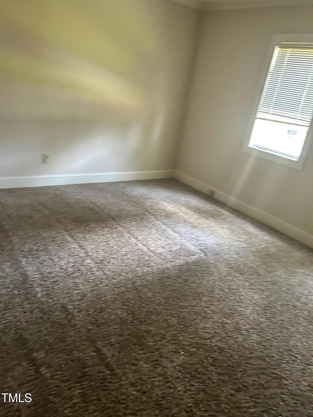 1800 Windsor Rd, Kinston, NC 28504 - photo 5