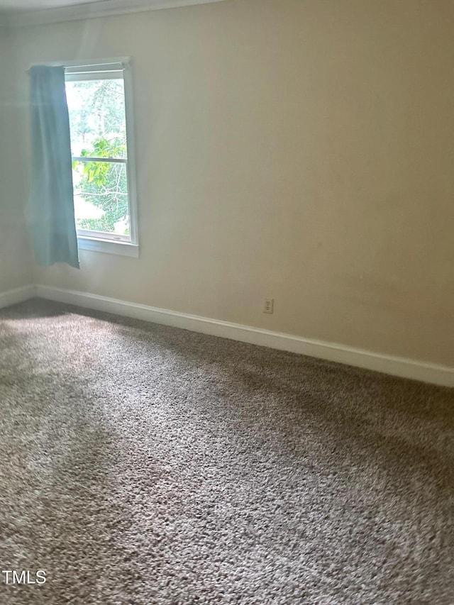 1800 Windsor Rd, Kinston, NC 28504 - photo 10