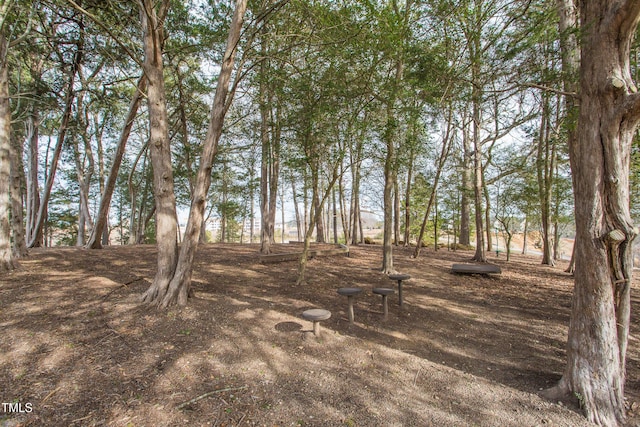 728 Silo Park Dr, Wake Forest, NC 27587 - photo 42