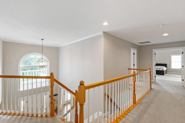214 Moravia Ln, Cary, NC 27513 - photo 18
