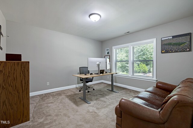 3405 Ogle Dr, Cary, NC 27518 - photo 46
