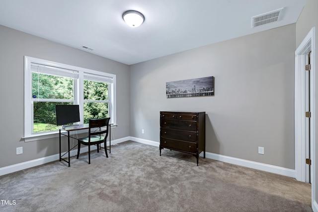3405 Ogle Dr, Cary, NC 27518 - photo 48