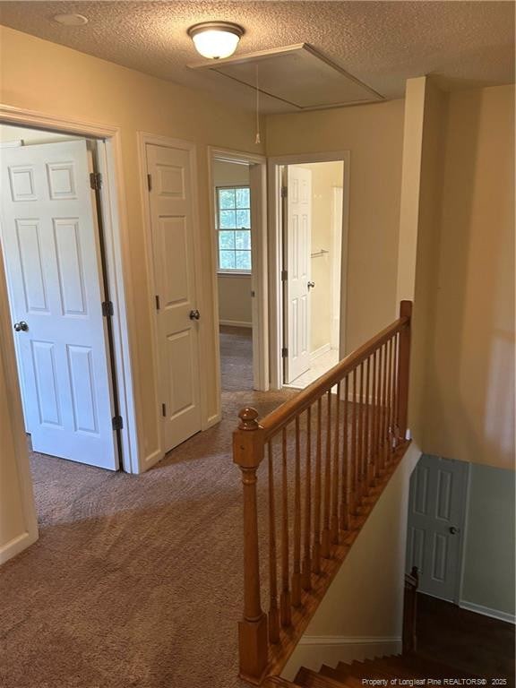 735 Spy Glass Dr, Fayetteville, NC 28311 - photo 13
