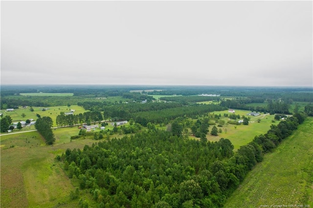 1157 Gainey Rd, Raeford, NC 28376 - photo 3