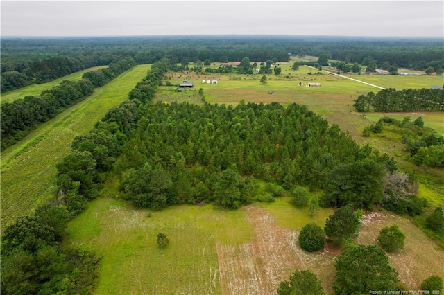 1157 Gainey Rd, Raeford, NC 28376 - photo 4