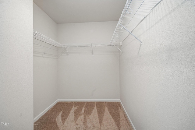 757 Frosty Way, Zebulon, NC 27597 - spacious closet with carpet flooring