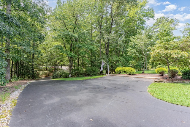 2508 Brighton Pt, Sanford, NC 27330 - photo 50