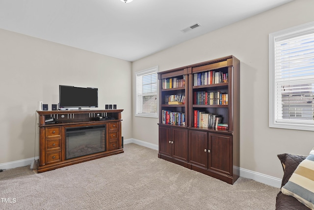 3427 Piping Plover Dr, Raleigh, NC 27616 - photo 31