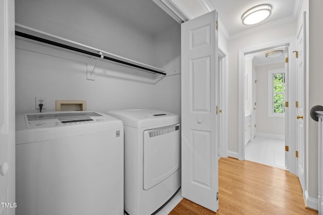 524 Gardner St, Raleigh, NC 27607 - photo 31