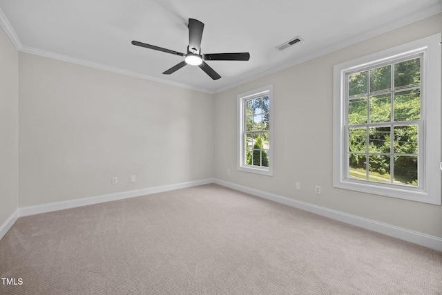 524 Gardner St, Raleigh, NC 27607 - photo 29