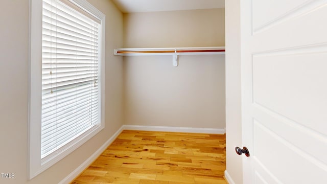 918 Chaney Rd, Raleigh, NC 27606 - photo 12