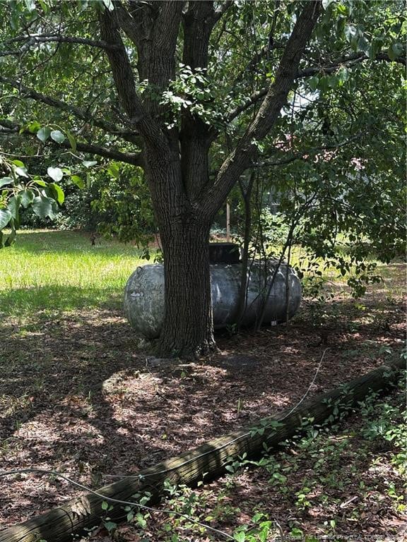 3205 Bolton St, Fayetteville, NC 28306 - photo 15