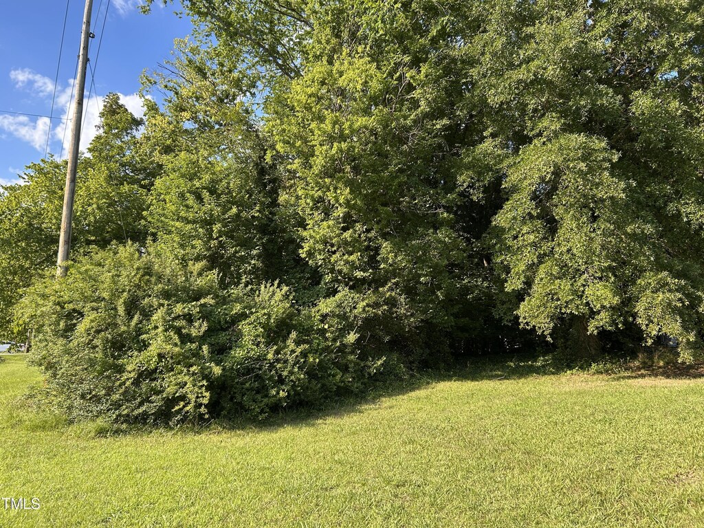 384 N Bickett Blvd, Louisburg, NC 27549 - photo 1