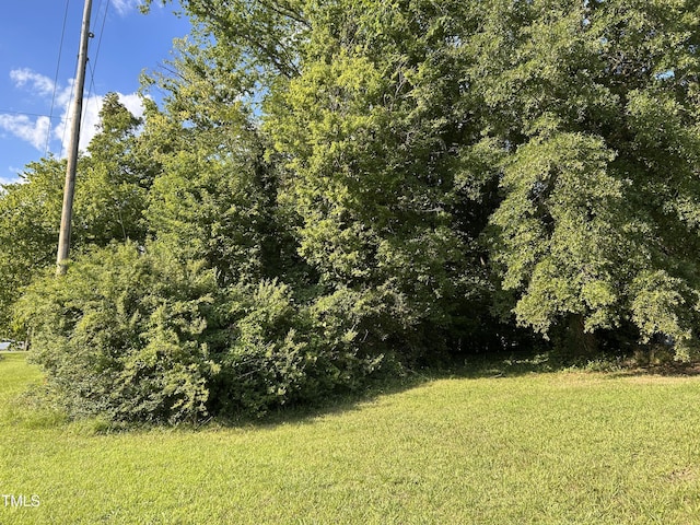 384 N Bickett Blvd, Louisburg, NC 27549 - photo 1