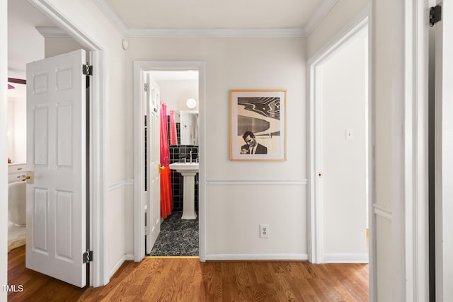 2505 Medway Dr, Raleigh, NC 27608 - photo 26