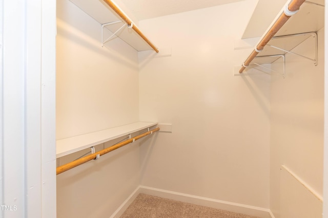 3333 Lassiter St, Durham, NC 27707 - photo 18