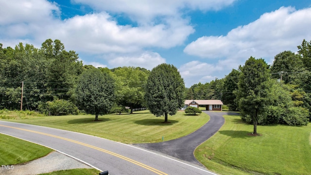 6121 Bentham Rd, Gibsonville, NC 27249 - photo 5