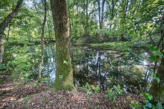 94 Avery Pond Dr, Fuquay Varina, NC 27526 - photo 58