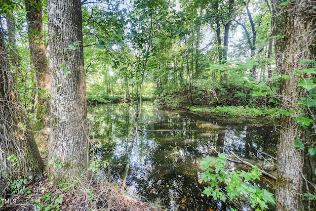 94 Avery Pond Dr, Fuquay Varina, NC 27526 - photo 59