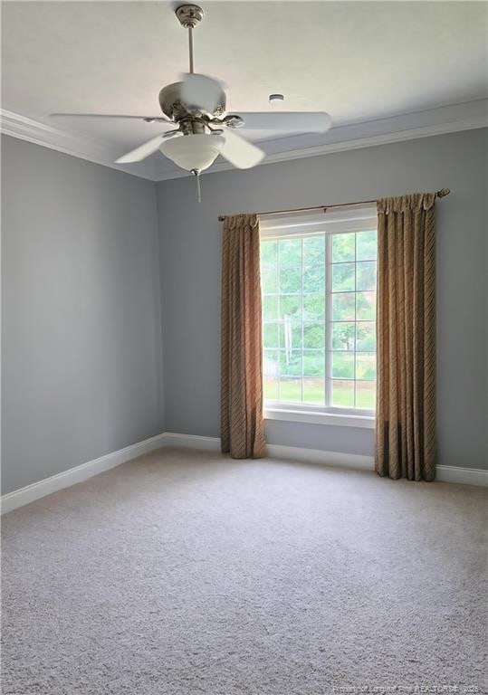 415 W Summerchase Dr, Fayetteville, NC 28311 - photo 45