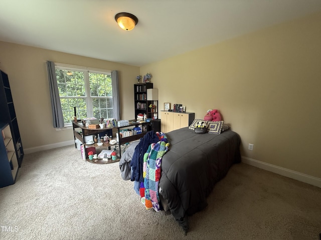 220 Langdon Pointe Dr, Garner, NC 27529 - photo 29