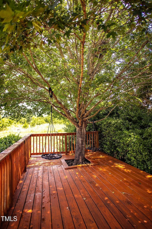 2115 Stanchion St, Haw River, NC 27258 - photo 38