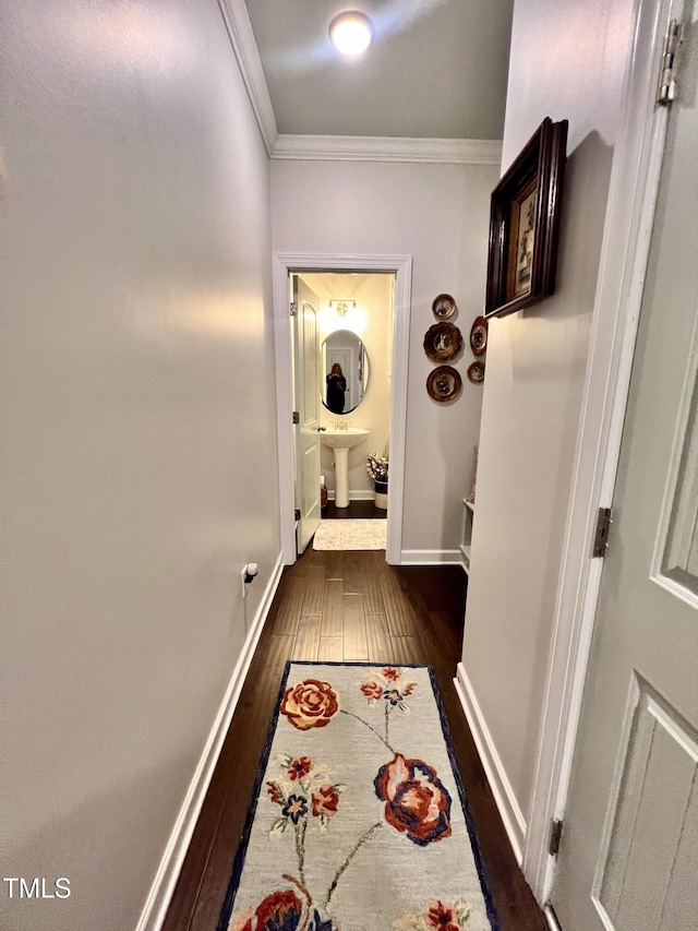 1925 Bright Kannon Way, Wendell, NC 27591 - corridor with crown molding and dark wood-style flooring
