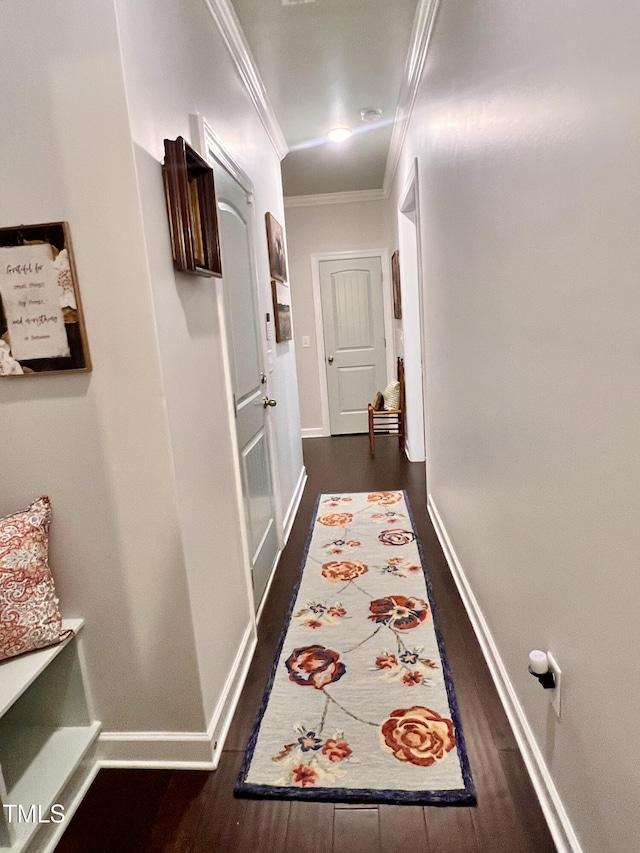 1925 Bright Kannon Way, Wendell, NC 27591 - corridor featuring ornamental molding and dark wood-style floors