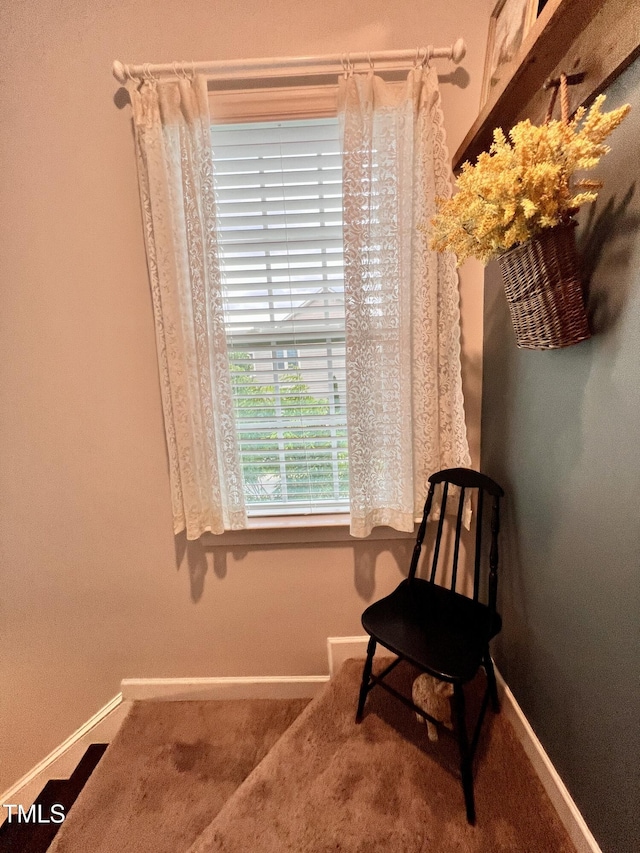 1925 Bright Kannon Way, Wendell, NC 27591 - living area with baseboards and carpet floors
