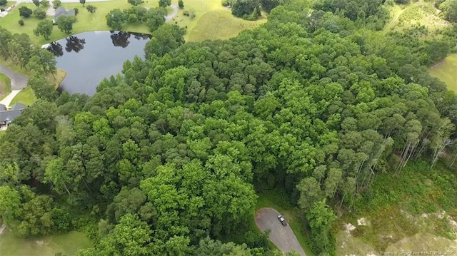 Lark Ln, Sanford, NC 27332 - photo 4